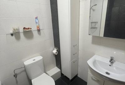 Apartament cu 3 camere decomandat, mobilat în Metalurgiei - 16