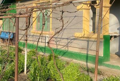 Casă cu 3 camere în Floroaica - 3