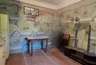 Teren si casa cu teren generos in Socodor - 2