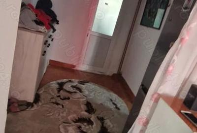 Casă cu 1 camere cu Teren 1000 Mp în Mijlocu - 3