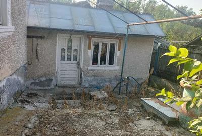 Casa de vinzare in Livezile Vilcea - 2