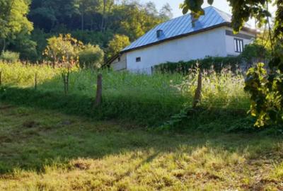 Teren de 7000 mp, în Ștubeie Tisa - 16