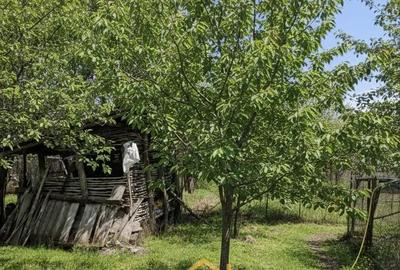 Teren de 1451 mp, în Podari - 4