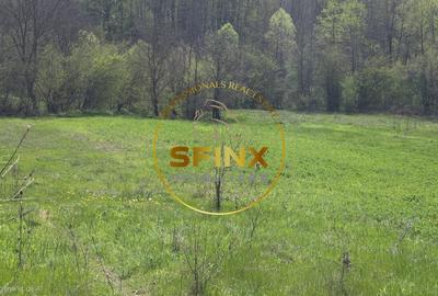 Teren Construcții intravilan de 1000 mp, în Dobrești - 2