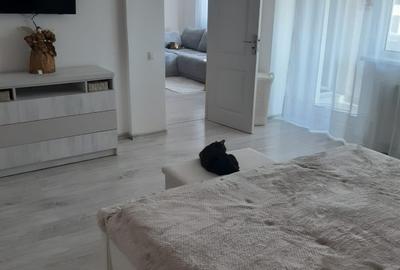 2 camere BN uri (Baba Novac- Compozitori) - 6