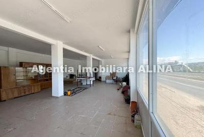 Spațiu comercial, de 100 mp, în Decebal - 11