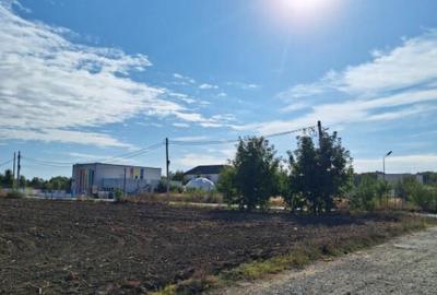 Snagov- Ciofliceni, loturi de casa intre 504-670mp, ?erba - 5