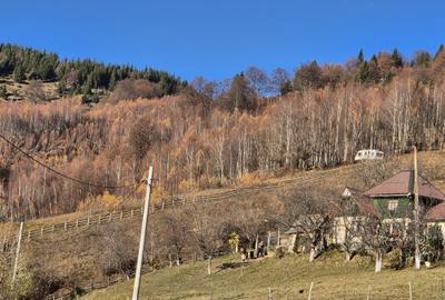 Teren de vânzare în sat Măgura/ Brasov– loc pentru familie, liniște și suflet - 26