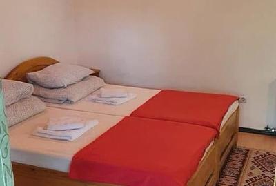 Casă cu 6 camere cu Canalizare în Exterior Vest - 12