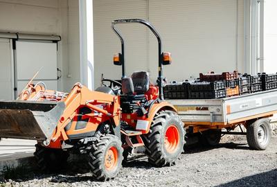 DE VANZARE una dintre cele mai moderne plantatii de afin din Romania - 12