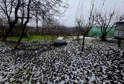 Teren Construcții intravilan de 4516 mp, în Doina - 8