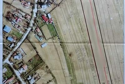 Teren de 8000 mp, în Gruiu - 2