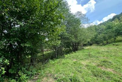 Teren 2 hectare pe Valea Ariesului, zona Scarita-Belioara, pret oportun 2 Eur/mp - 5