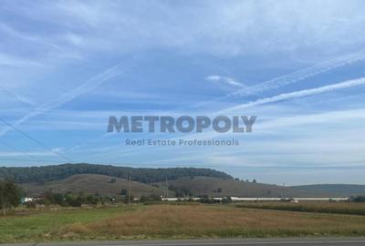 Teren de 7000 mp, în Cristian