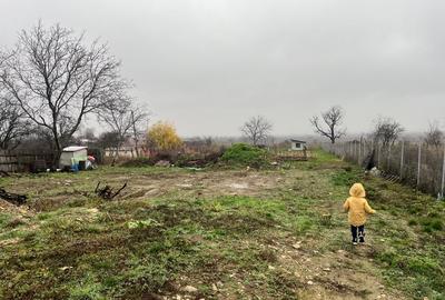 Teren intravilan pe Strada Principală – Faraoanele, Vârteșcoiu - 12