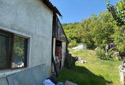 Casă cu 3 camere cu Teren 1700 Mp în Exterior Sud - 4
