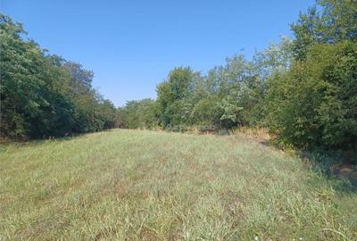 Casa Giurgiu- Ghimpati Sat Bila Casa Giurgiu- Ghimpati Sat Bila - 9