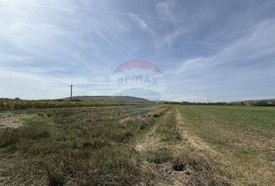 Teren Investitii 8600 mp | Zona Tetarom III Rascruci - 5