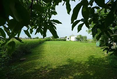 Casa pe cadre metalice cu teren 1000 mp in zona Panait Cerna Satu Mare - 4