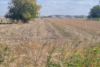 Teren investitie Berceni Teren investitie Berceni - 11