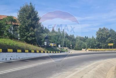 Oferta-vanzare teren intravilan 3,969mp Predeal-Strada Mihail Saulescu - 6
