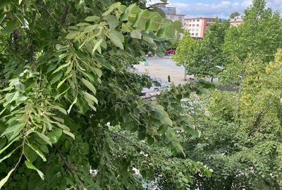 Apartament cu 2 camere semidecomandat în Ultracentral - 2