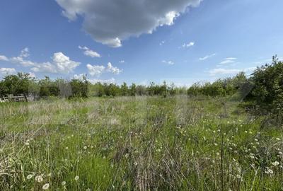 Teren intravilan, 1843 mp, front 32 ml, zona Sarbatoarea - 1