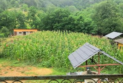 Casă cu 4 camere cu Teren 790 Mp în Plopșoru - 3