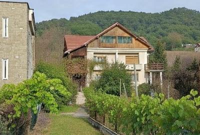 Duplex cu 4 camere cu Canalizare în Săsar - 1