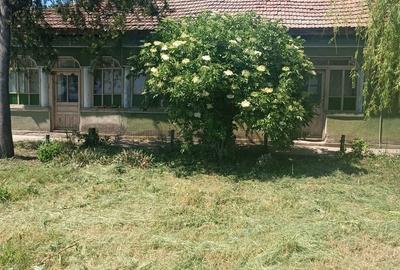 Teren în Băneasa - 2