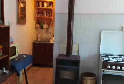 Casă cu 2 camere în Izvoarele (Livezile) - 4