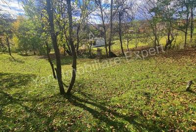 Teren de vanzare in comuna Arefu, jude? Arge?. - 16