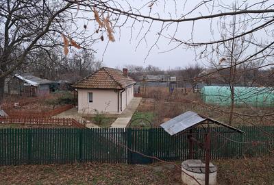 Casă individuală cu 5 camere cu Teren 2776 Mp în Coțofanca - 1