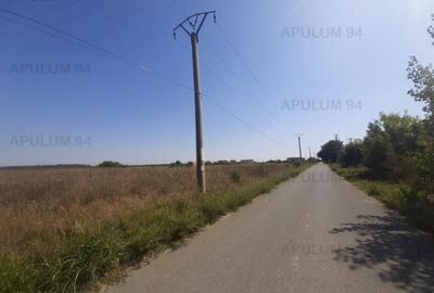 Teren pentru case in 1 Decembrie - 14