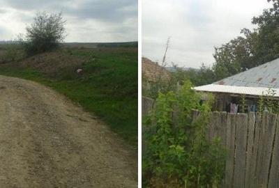 Casă cu 3 camere cu Teren 3487 Mp în Tănăsoaia - 4