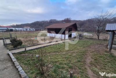 Casă cu 4 camere cu Teren 553 Mp în Hințești - 9