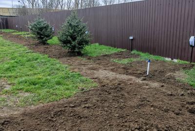 Casă cu 3 camere în Murighiol - 4