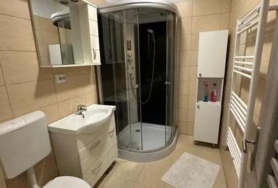Apartament de inchiriat, 2 camere, 51 mp, zona Teilor! - 6