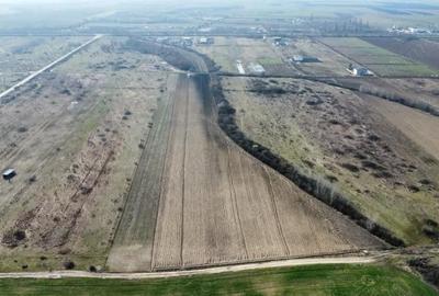 Teren de 24000 mp, în Moșnița Nouă - 2