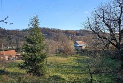 Casă cu 3 camere cu Teren 6772 Mp în Ursoaia - 3