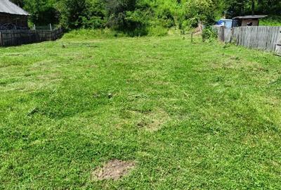 Spațiu comercial, în Valea Siliștii - 5