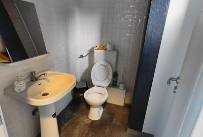 Investitie - Hala industriala 450mp, cu chirias, zona de Vest - 8