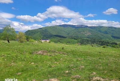 Teren de 2500 mp, în Nucșoara - 4