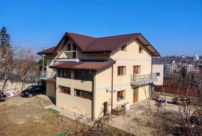 Casă cu 2 camere în Vișan - 1