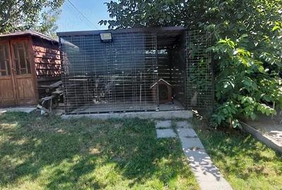 Casă în Breazu - 8