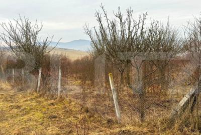 Teren de 2900 mp, în Central - 20