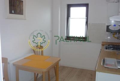 Apartament cu 2 camere decomandat, mobilat în Calea Poplăcii - 10