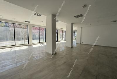 Spațiu comercial, de 485 mp, în Șagului - 7