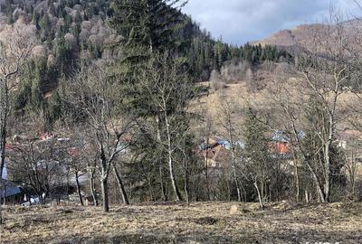 Teren de 5062 mp, în Voineasa