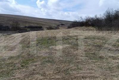 Casa veche cu teren generos de 5.300 mp oportunitate de - 2